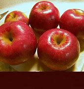 Image result for Apple Giphy