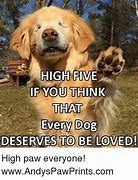 Image result for High Five Dog Meme