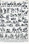 Image result for Wrestling Techniques Chart