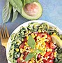 Image result for YouTube Plant-Based Recipes