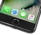 Image result for iPhone 7 Length and Width