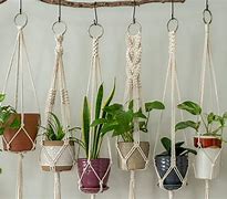 Image result for Hanging Plant Hooks