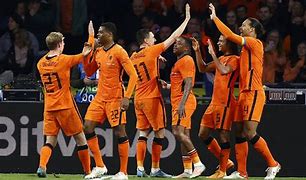 Image result for Netherlands FC World Cup 22