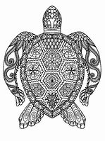 Image result for Turtle Mandala Coloring Pages