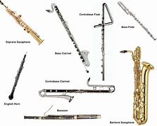 Image result for Unusual Woodwind Instruments