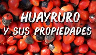 Image result for huaqyero