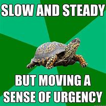 Image result for Slow Turtle Memes Funny