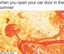 Image result for Funny First Day of Summer Memes