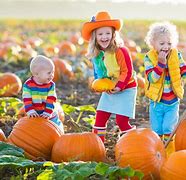 Image result for Halloween Pumpkin Kids
