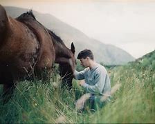 Image result for Irish Horse Film