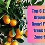 Image result for Zone 9A Dwarf Fruit Trees