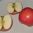 Image result for Dwarf Pink Lady Apple Tree