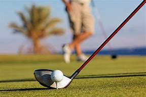 Image result for Wood Golf Club