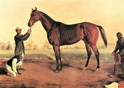 Image result for Ancient Black Horse