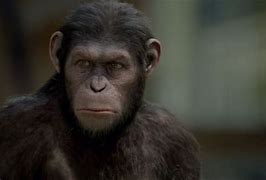Image result for Planet of the Apes TV Show
