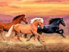 Image result for Free Horses