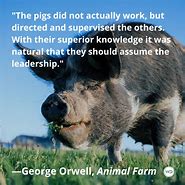 Image result for Animal Farm Quotes
