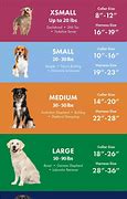 Image result for Glitter Pooch Size Chart