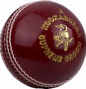 Image result for Cricket Transparent