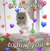 Image result for Wholesome Pics