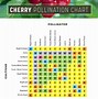 Image result for Apple Tree Pollination Compatibility Chart