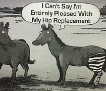 Image result for Hip Surgery Humor