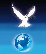 Image result for Freedom Bird