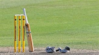 Image result for Pictures of Things Used in Cricket