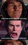 Image result for Spider-Man Memes Clean