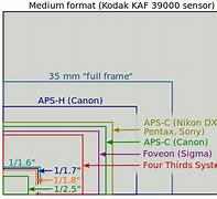 Image result for Black Magic Camera Sensor Size Comparison