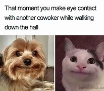 Image result for One Cute Co-Worker Meme