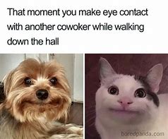 Image result for Co-Workers Point of Contact Meme