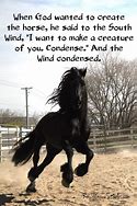 Image result for Horses Freedom Quotes