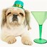 Image result for Funny St. Patrick's Day Dog