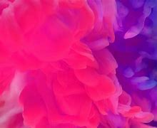 Image result for iPhone 5S Colors Purple