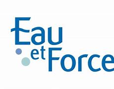 Image result for Eau Et Force