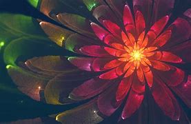 Image result for Abstract Flower Wallpaper