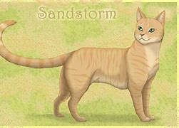 Image result for Warrior Cats Sandstorm