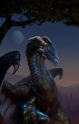Image result for Eragon and Saphira