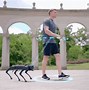 Image result for Robot Dog On Wheels Big