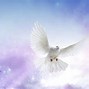 Image result for Sermons What Is the Difference Between Spirit and Soul