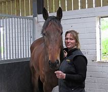 Image result for Emma Church Horse Trainer