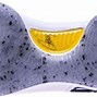 Image result for Curry Basketball Shoes Yellow