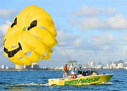 Image result for Fun Activities in Miami Florida