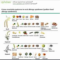 Image result for Oral Allergy Syndrome Chart