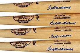 Image result for Ted Williams Family Bats
