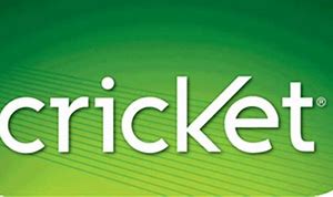 Image result for Cricket Sign