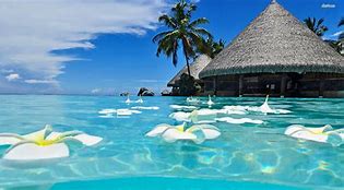 Image result for 50 Best Beaches in the World