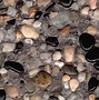 Image result for Pebble Tech Pool Finishes