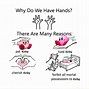 Image result for Why Do We Have Hands Template